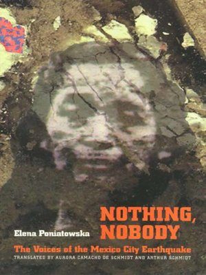 cover image of Nothing, Nobody